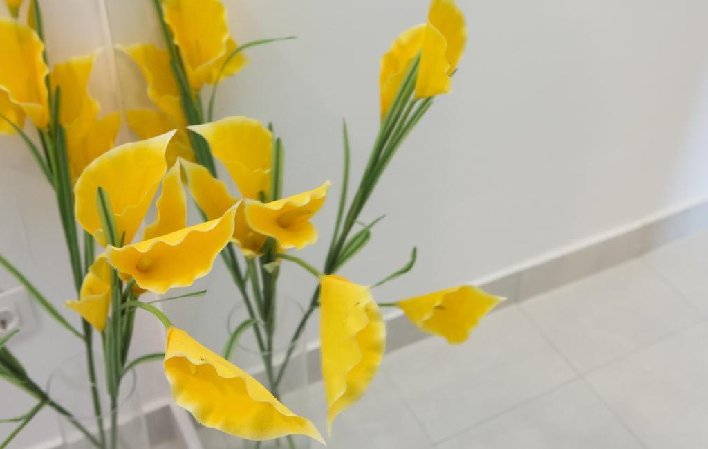 Apartmani Nika Dubrovnik Phòng bức ảnh